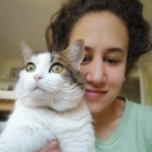 Profilbild für Yasmeen S