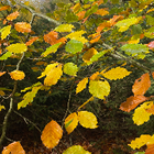 Profilbild für Elena S