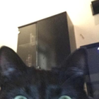 Profilbild für Lisa-Marie S