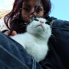 Profilbild für Hannah D