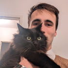 Profilbild für Lesouef P