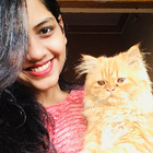 Avatar for ankita A