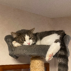 Profilbild für Nicolas L