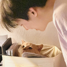 Profilbild für Ao G