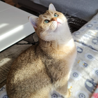 Profilbild für Sarah N