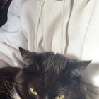 Avatar for Anastasia R