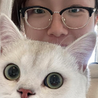 Profilbild für Sisi D