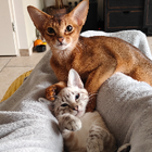 Profielfoto voor Aiden H