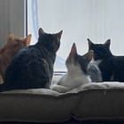 Profilbild für Stefanie R