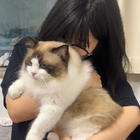 Avatar for Tianxin Z