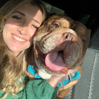 Avatar for Registered Vet Nurse  Gina N