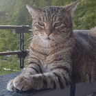 Profilbild für Christine S