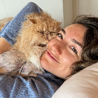 Profilbild für Dzhanay D