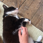 Avatar for Catherine M