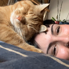 Profilbild für Ladina A