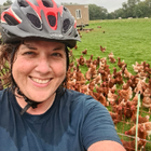 Profielfoto voor Wilma d