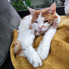 Profielfoto voor Ruby J