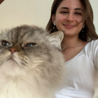 Profilbild für Andji A