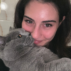 Profielfoto voor Fulin A