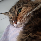 Profilbild für Manuela Z