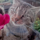 Profilbild für Holger S