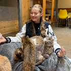 Profilbild für Linda P