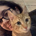 Profilbild für Elif O