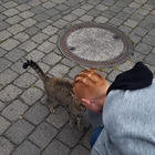 Profilbild für Sapphos E