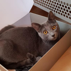 Profilbild für Jessica J