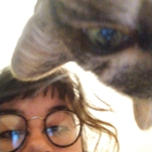 Avatar pour Marion (Will) C