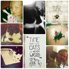 Profielfoto voor Irma E