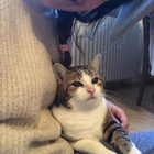 Profilbild für Micaela C