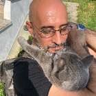 Avatar pour Babak A
