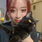 Profilbild für Le D