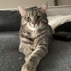 Profilbild für Lynn K