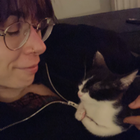 Profilbild für Orsi F