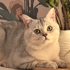 Profilbild für Jiayi F