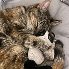 Profilbild für Bouchra Z
