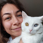 Profilbild für Ahsen H