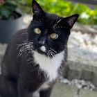 Profilbild für Jessica M