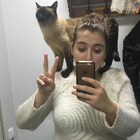 Profilbild für Tatiana O