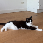 Profielfoto voor Yuhui T