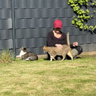 Profilbild für Noa J