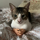Profilbild für Biljana M