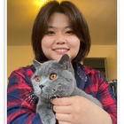 Profilbild für Jing T
