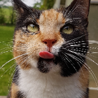 Profilbild für Jeannette G