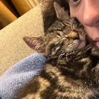 Avatar for Morleah R