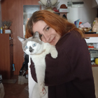 Profielfoto voor Raluca C