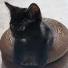 Avatar for Deborah N