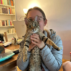 Profilbild für Julia O